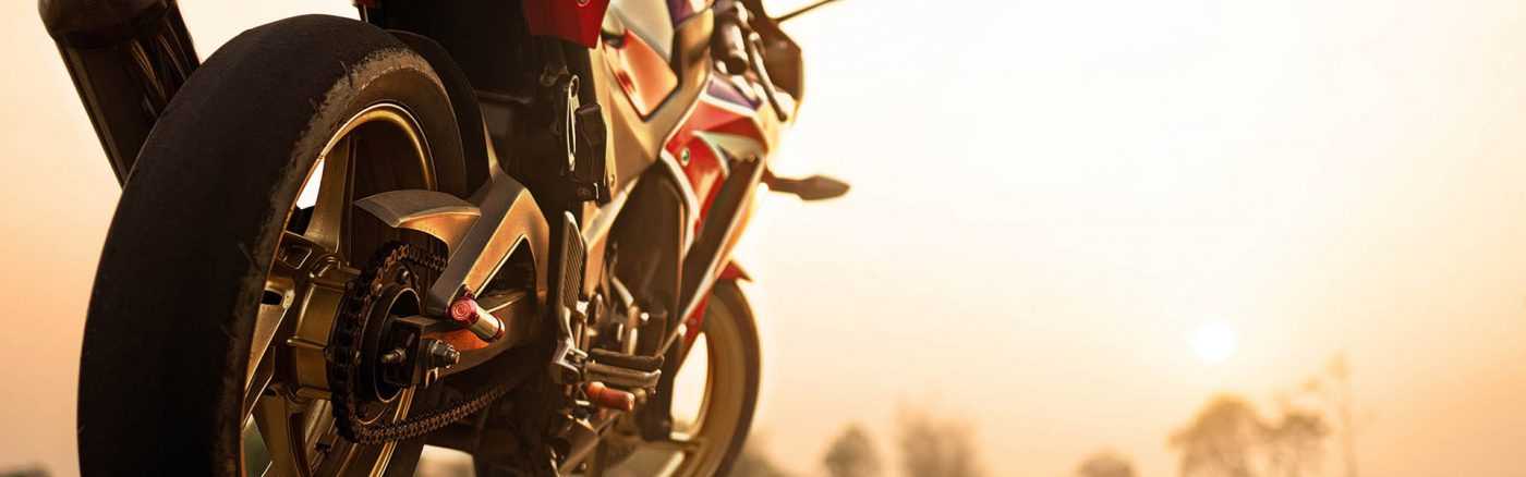 Trexes Adventure Equipment